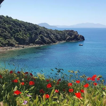 Il Pesce Azzurro Διαμέρισμα *