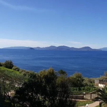 Il Pesce Azzurro