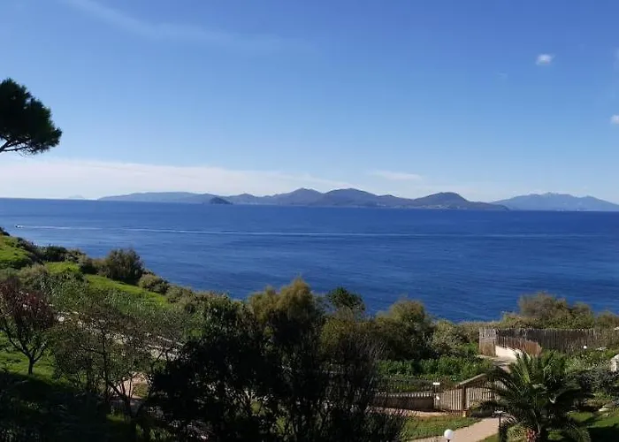 Il Pesce Azzurro